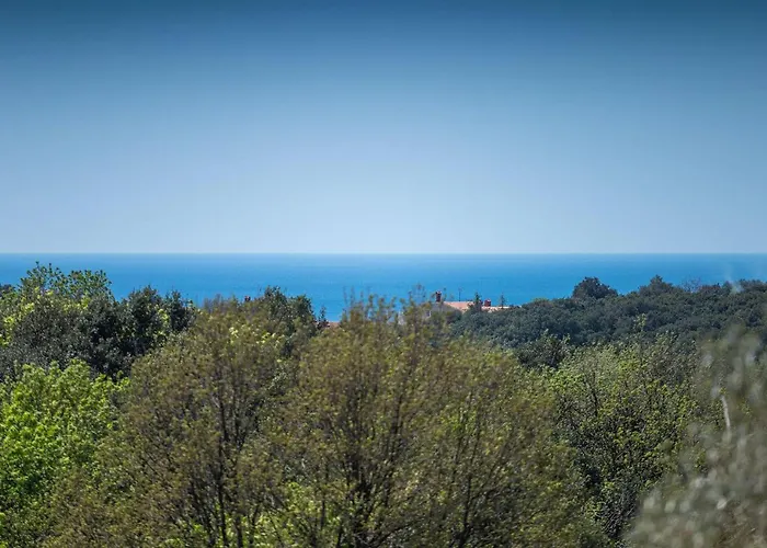 Zen بيت للعطل *